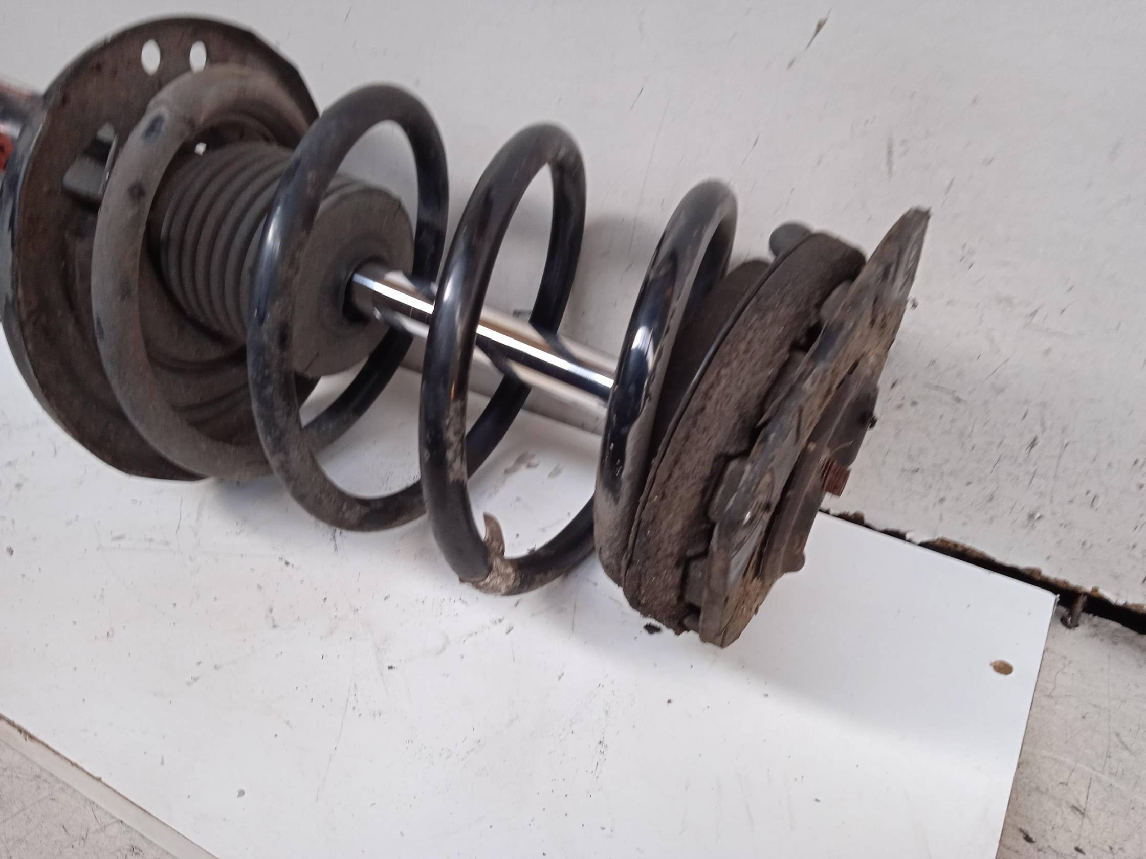 Ammortizzatore ant. sx.